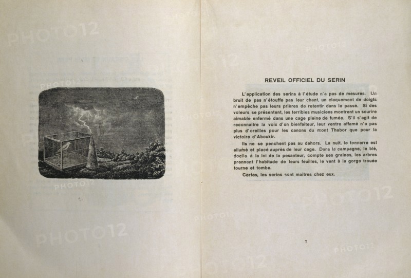 illustration by Max Ernst, for 'Misfortunes of the Immortals'