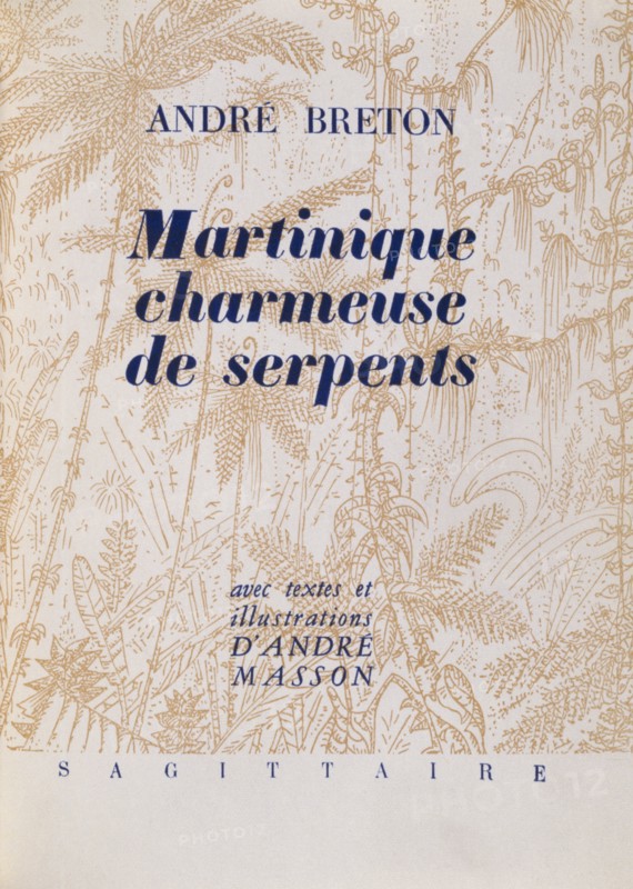 Illustration from 'Martinique, Snake Charmer'