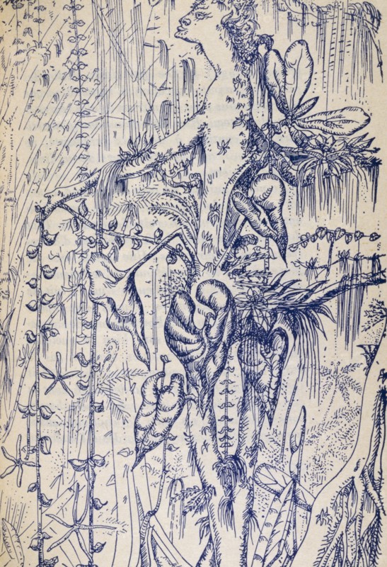 Illustration from 'Martinique, Snake Charmer'