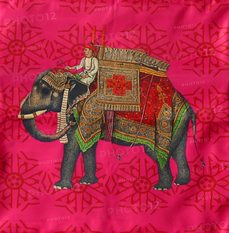 Indian silk cushion cover, with traditional woven pattern