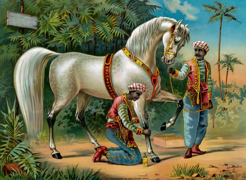 The Sultan's steed, published c1890