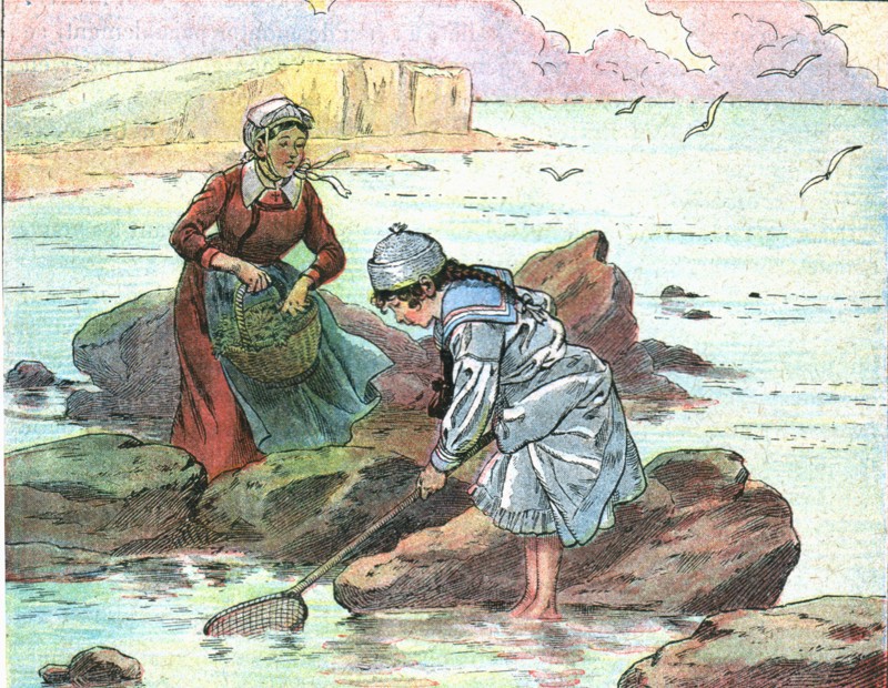 Fillette pêchant au bord de la mer