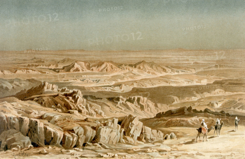 Landscape and camel caravan