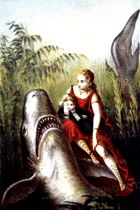 Journey to the bottom of the sea
