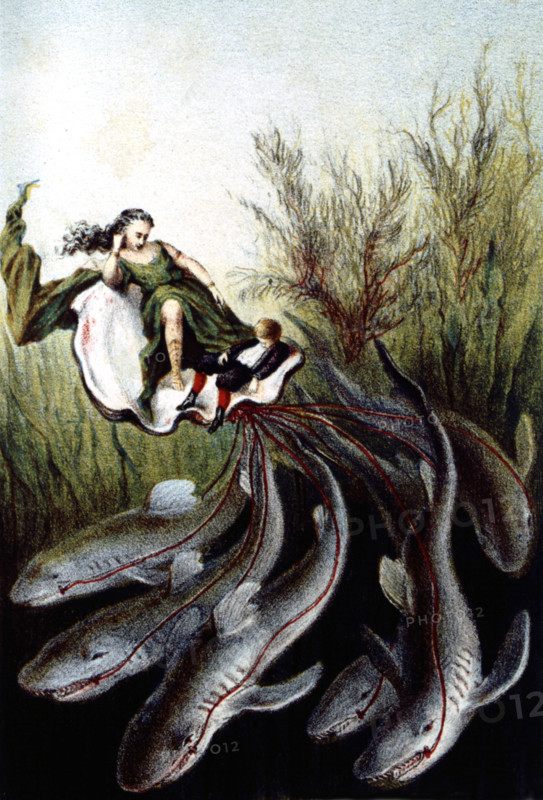 Journey to the bottom of the sea