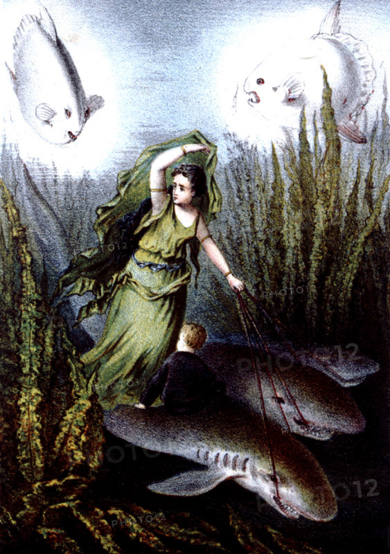 Journey to the bottom of the sea