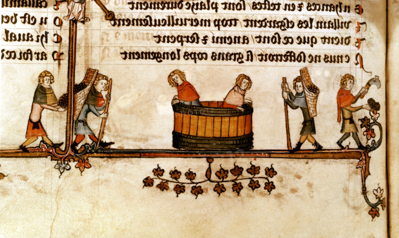 Miniature extraite du "Roman d'Alexandre". Vignerons foulant le raisin