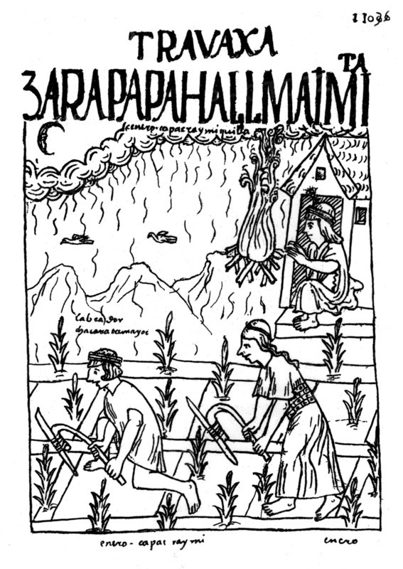Guaman Poma de Ayala : "Nueva Cororica y buen gobierne". Codex péruvien. La culture du maïs au Pérou par les Incas