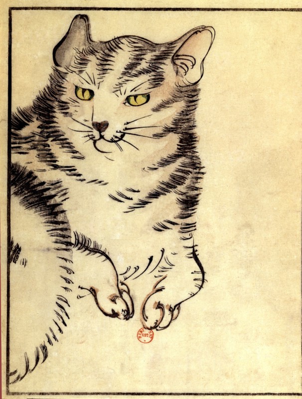 Estampe japonaise anonyme. Chat