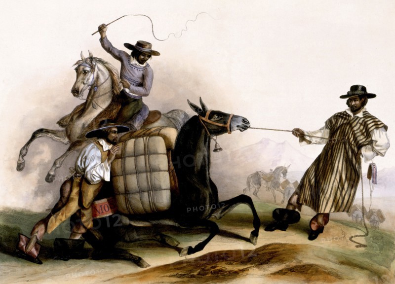 Lithography after C. Nebel, "Arrieros" (1836)