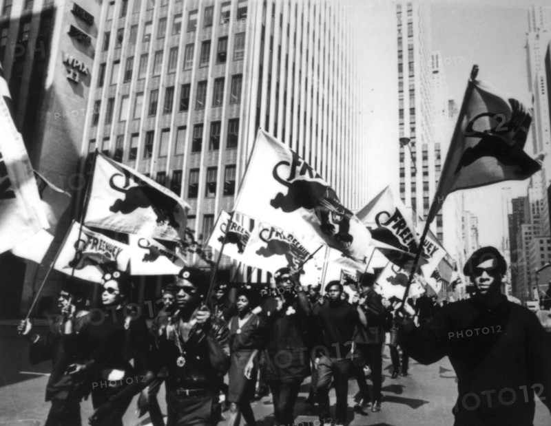 Black Panthers demonstration