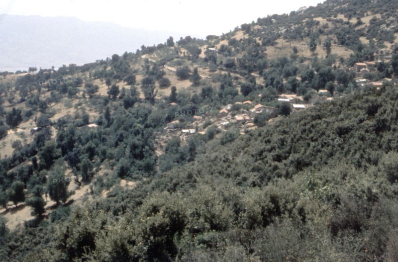 Algérie, les Aurès, gorges de Tighanimine