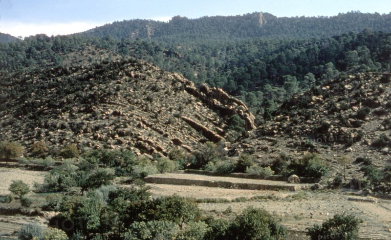 Algeria, the Aures region, gorges of Tighanimine