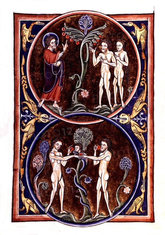 Psautier de Saint Louis et de Blanche de Castille
