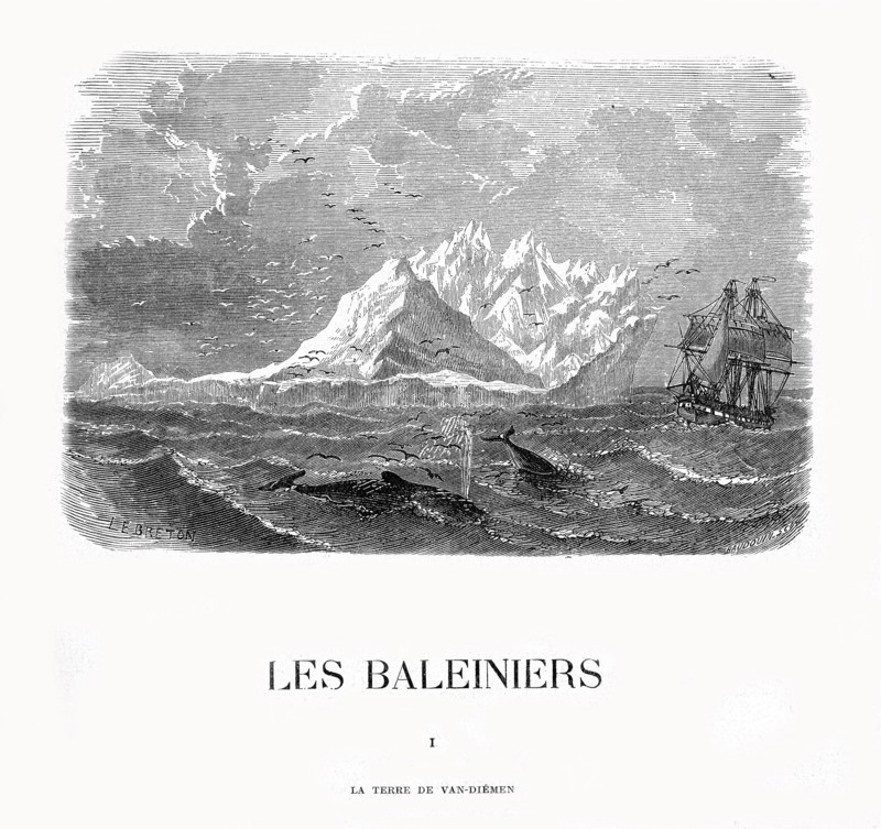 Les Baleiniers