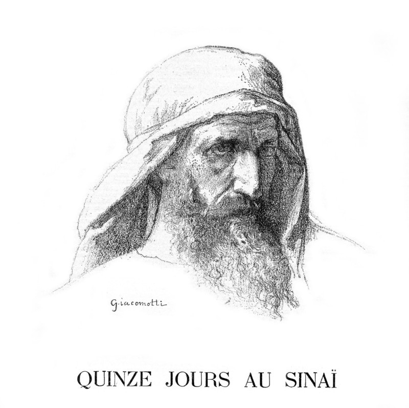Quinze jours au Sinaï