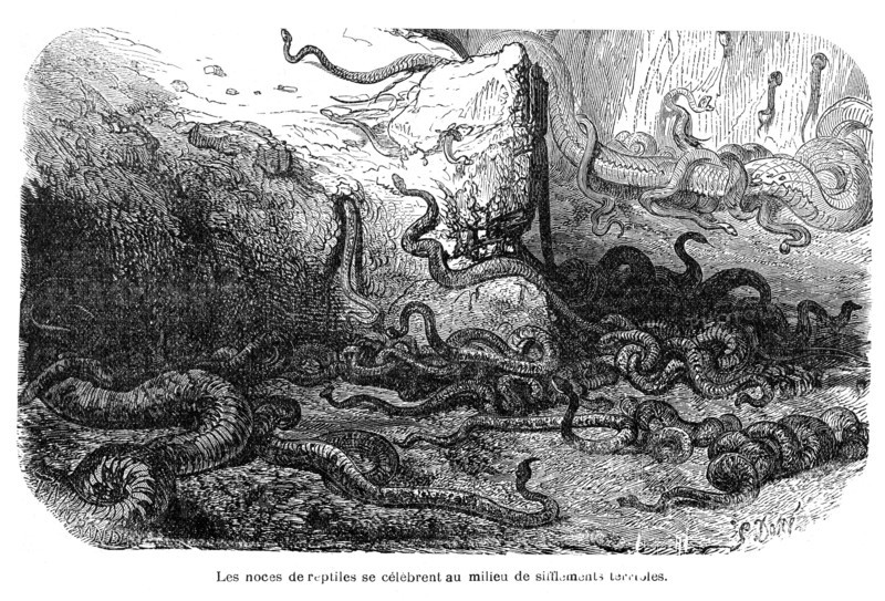 Dumas, "Les serpents"