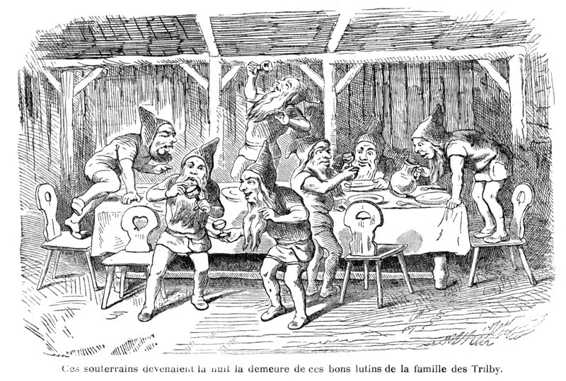 Dumas, "Les bord du Rhin"