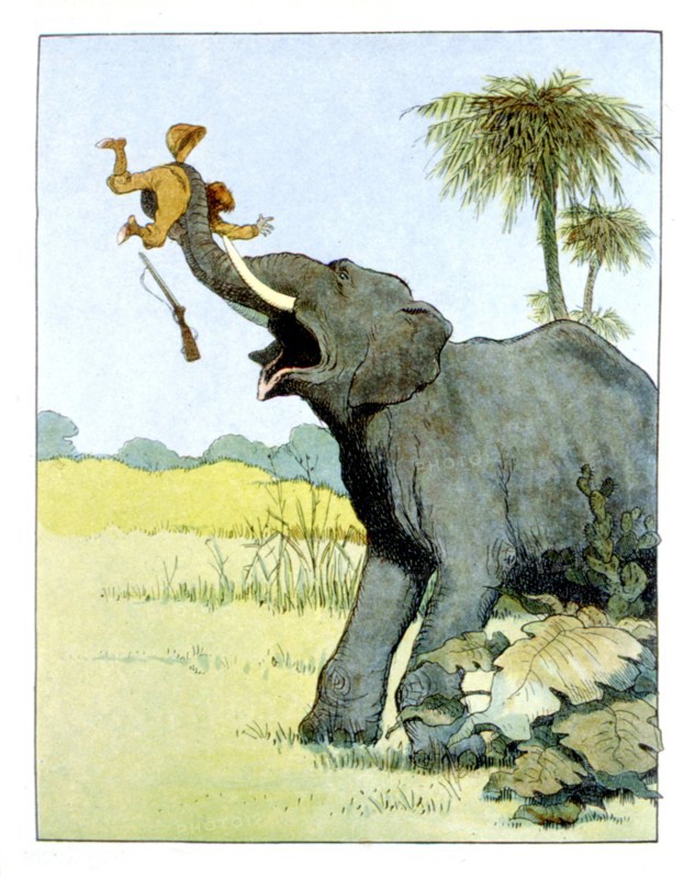 Eléphant et chasseur