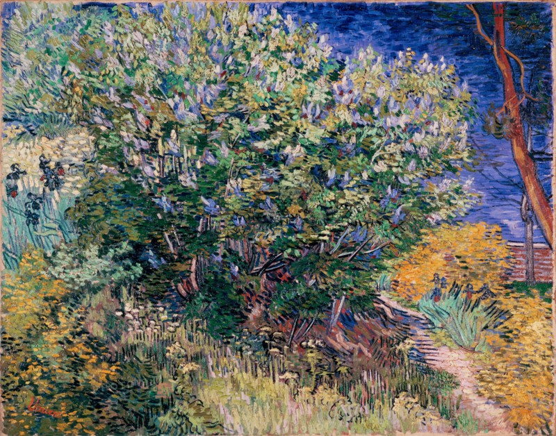 Van Gogh, Lilac Bush