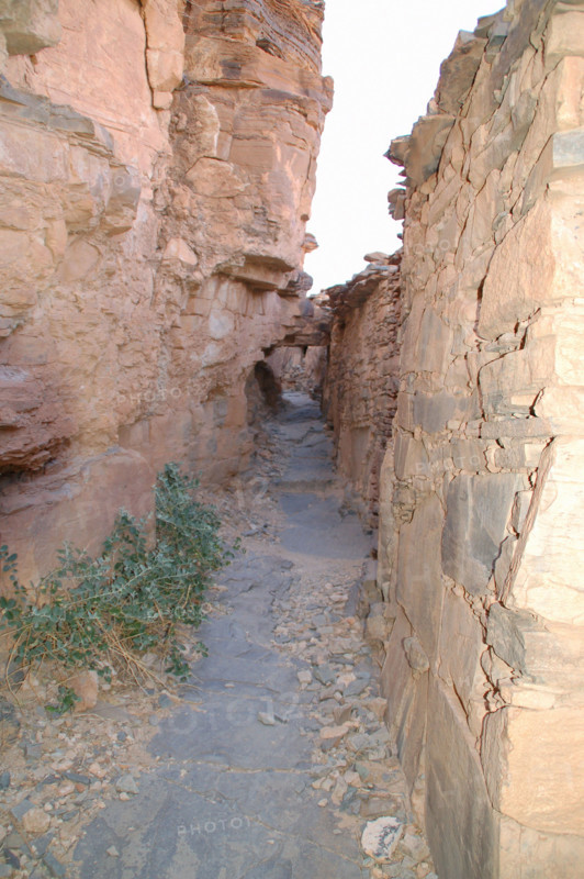 Greniers fortifiés du sud marocain, ou agadirs.