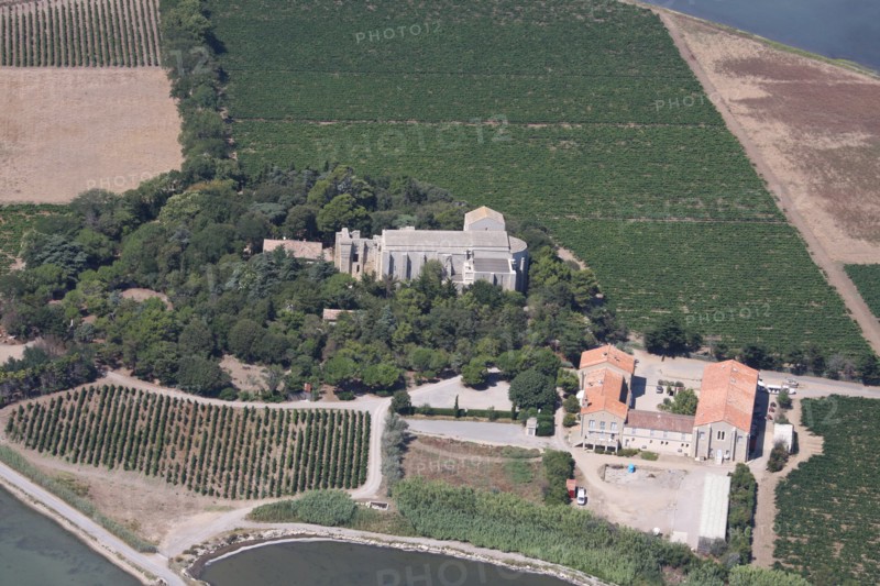 La Maguelone