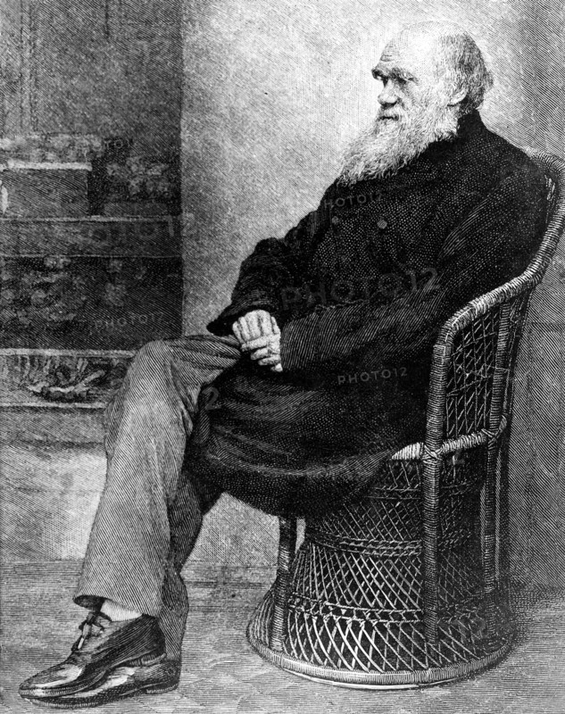 Portrait de Charles Darwin