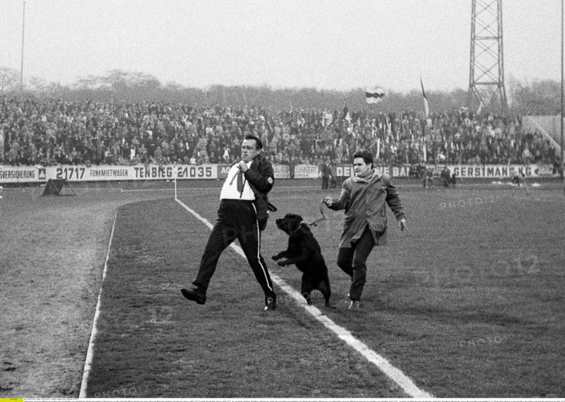 Platzordner mit einem Wachhund verjagt einen Fussballfan vom Spielfeld des Niederrheinstadions Oberhausen vor dem Spiel Rot-Weiss Oberhausen gegen Borussia Moenchengladbach, Bundesliga, Saison 1969/1970