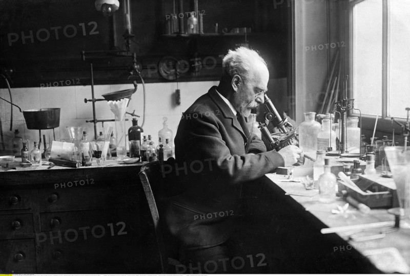 Lippmann, Gabriel