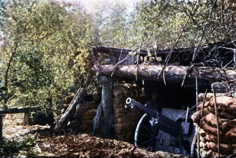 Première Guerre Mondiale. Septembre 1916.
Un canon de 75 français camouflé sous les arbres, pendant la bataille de Verdun.
D'après un autochrome de Jules Gervais-Courtellemont (1863 - 1931)