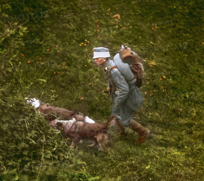 Première guerre mondiale, Russie