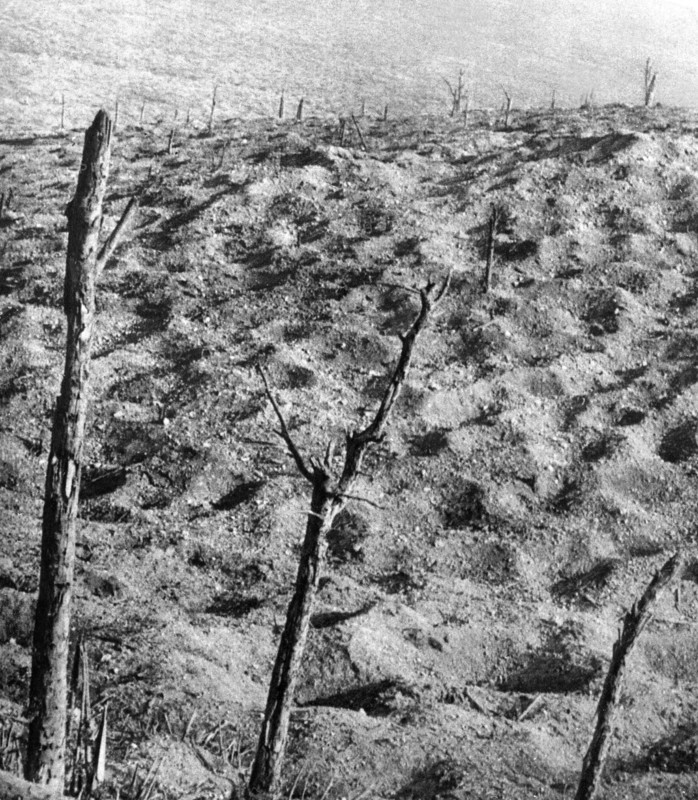 Champ de bataille de Verdun