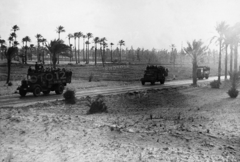 2.WW, North africa, war theater (Africa campaign) , german africa corps Feb.41-May43:
First offensive of Rommel: Military advance - lorries on the road. April 1941