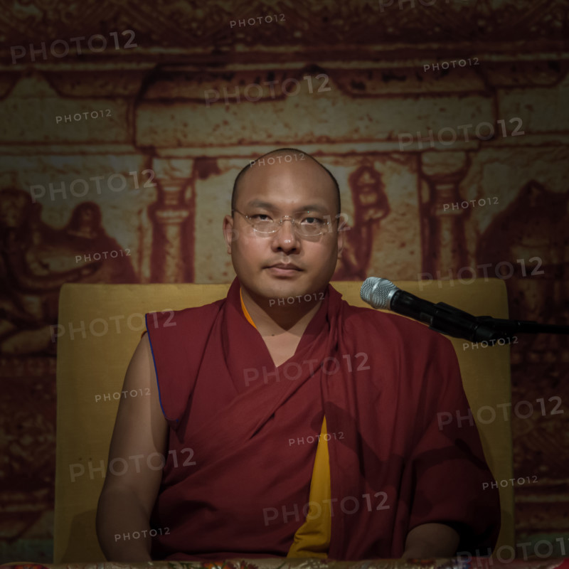 THE XVII KARMAPA, OGYEN TRINLEY DORJE