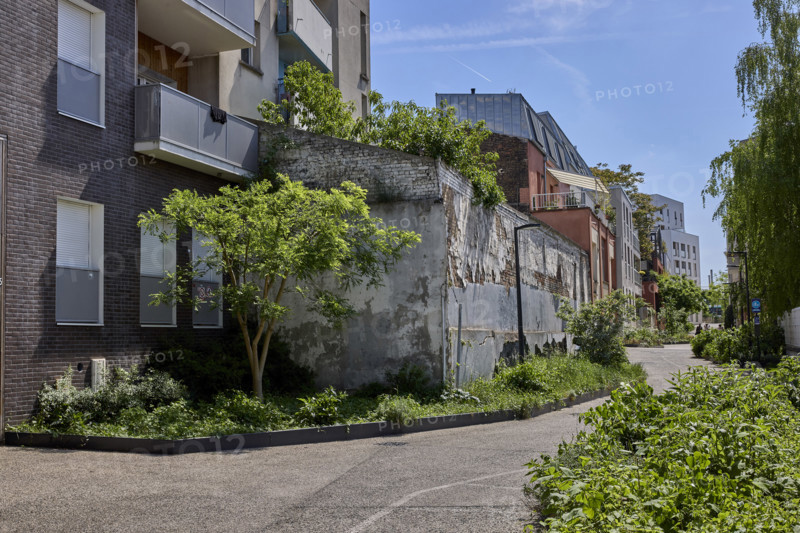 Végétalisation à Saint-Denis