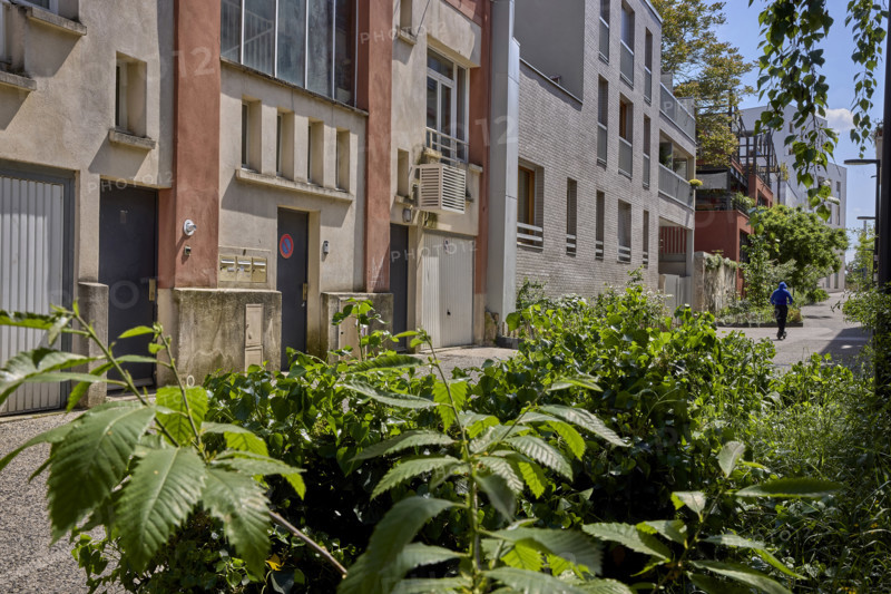 Végétalisation à Saint-Denis