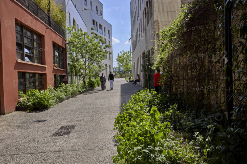 Végétalisation à Saint-Denis