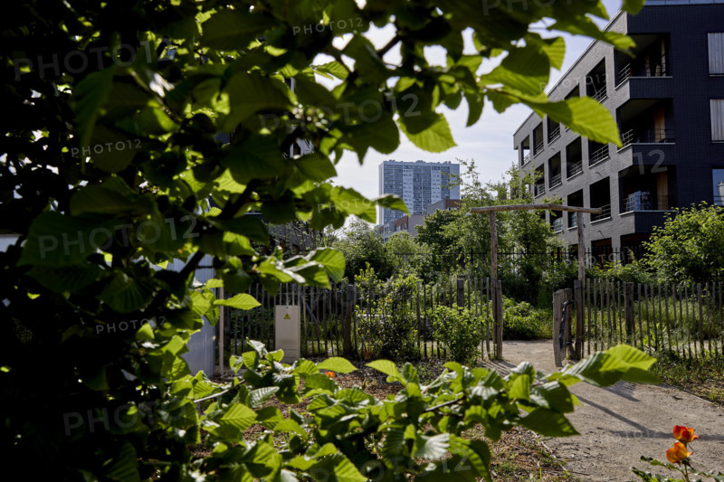 Végétalisation à Saint-Denis