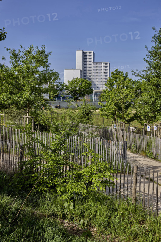 Végétalisation à Saint-Denis