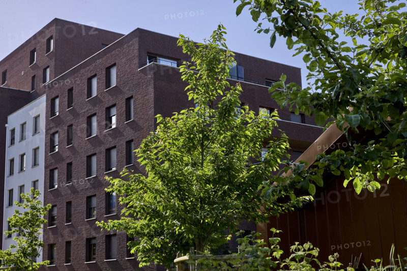 Urban greening in Saint-Denis