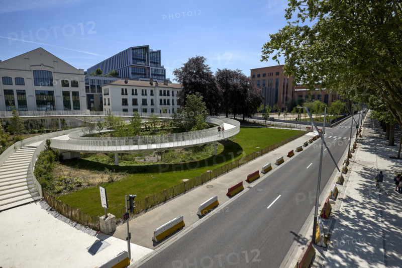 Urban greening in Saint-Denis