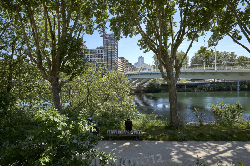 Végétalisation à Saint-Denis