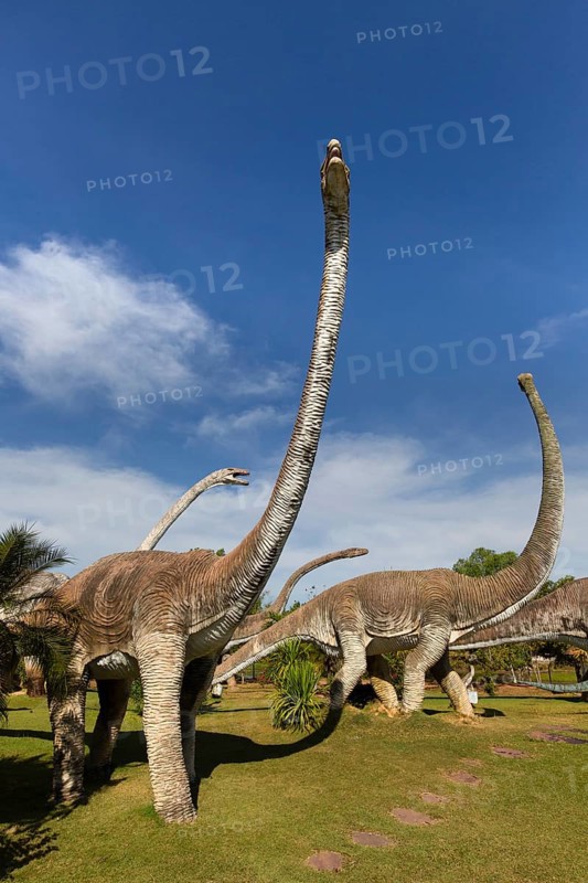 Dinosaur Park