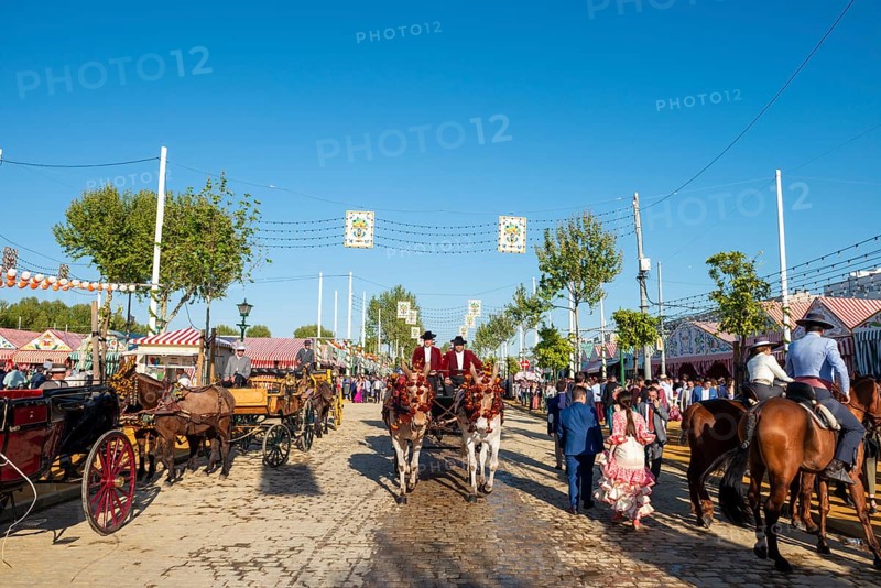 Adorned horse-drawn carriage in front of Casetas