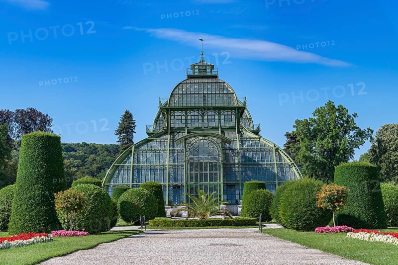 Palm House