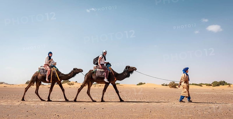 Caravan with dromedaries (Camelus dromedarius)