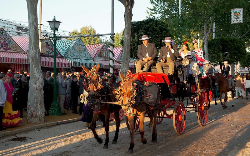 Horse-drawn carriage in front of Casetas