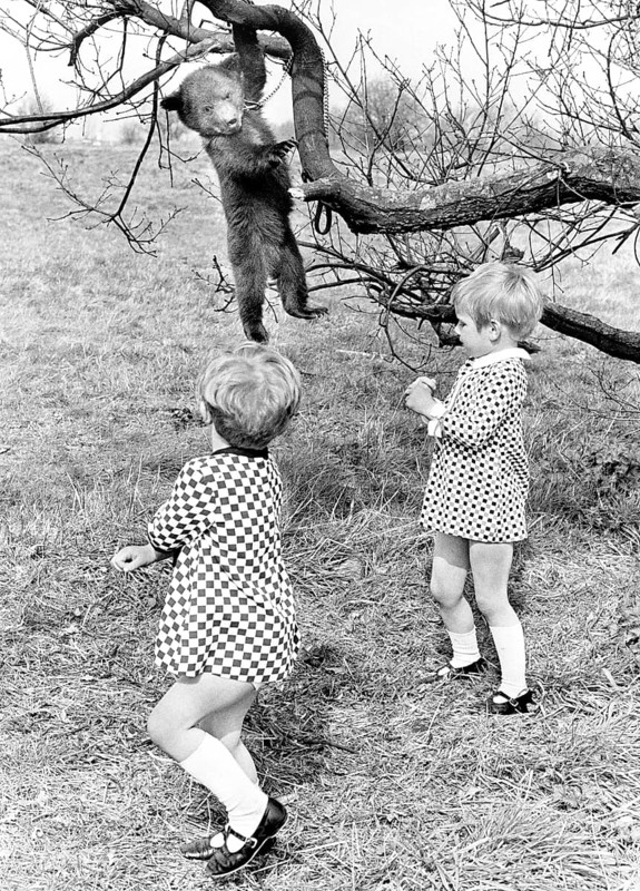 Two girls and a little bear hanging from a tree