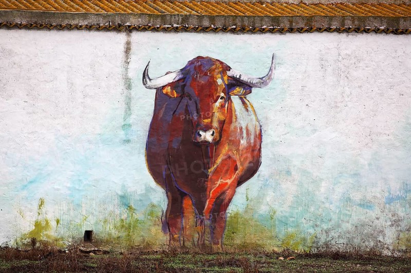 Mural