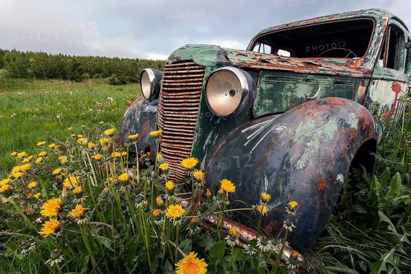 Vintage car